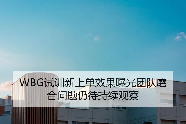 WBG试训新上单效果曝光团队磨合问题仍待持续观察